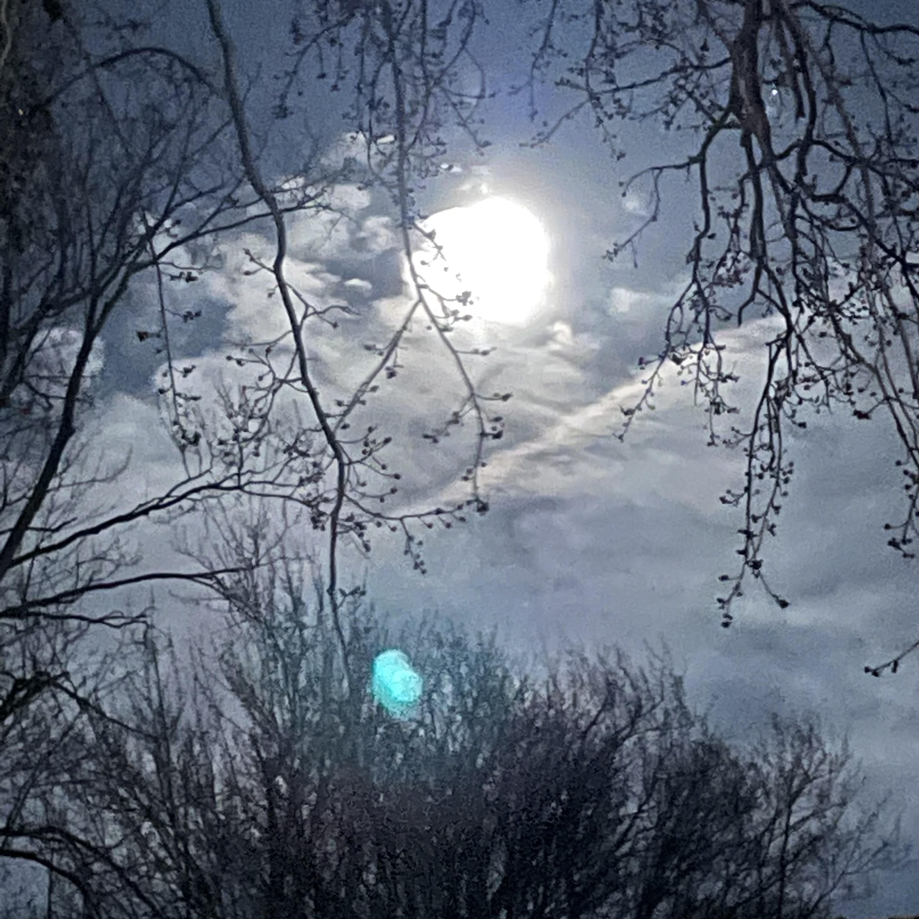 (beat)Skeleton.unmastered